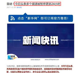 监管重拳与品牌价值观 从今日头条处罚看投资者的深刻启示